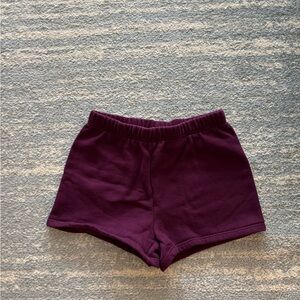 Aritzia TNA Maroon Casual Shorts